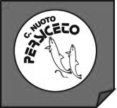 Logo Centro Nuoto Persiceto